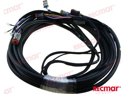 CABLAGGIO ELETTRICO  28 -¦