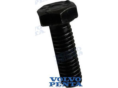 VITE COPERCHIO  COLLETTORE