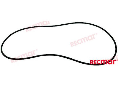 GUARNIZIONE COPERCHIO PUNTERIE