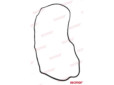 GUARNIZIONE COPERCHIO PUNTERIE