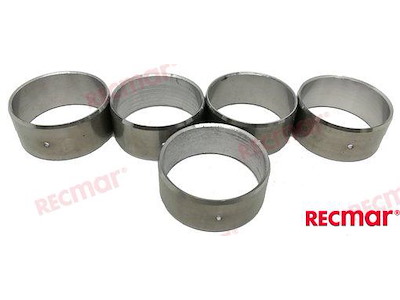 KIT BEARING: CAMSHAFT 454  MKIV