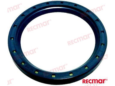 PARAOLIO ALBERO MOTORE