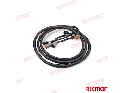 ESTENSIONE 10FT (3M)