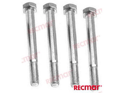 KIT BULLINI COLLETTORE