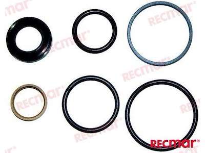 KIT RIPARAZIONE PISTONE DIREZIONE D