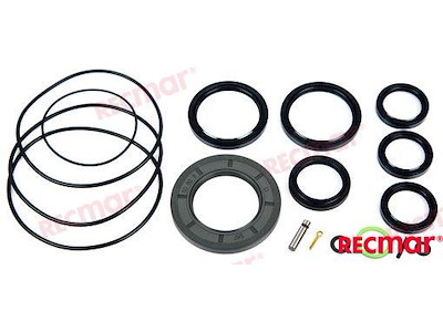 KIT COMPLETO GUARNIZIONI INFERIORE