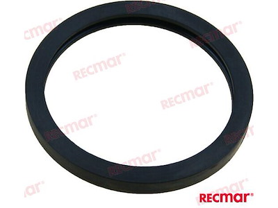 GUARNIZIONE TERMOSTATO