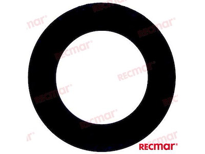 PARAOLIO ASSE MOTORE