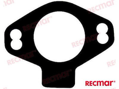 GUARNIZIONE COLLETTORE