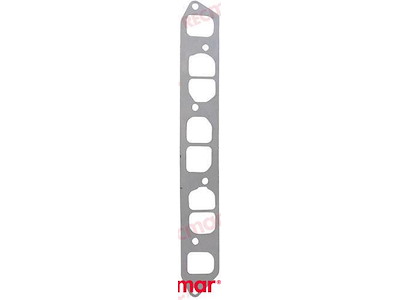 GUARNIZIONE COLLETTORE SCARICO