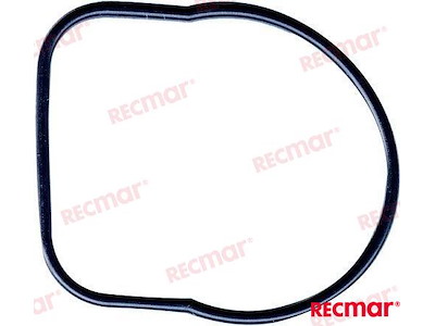 GUARNIZIONE COPERCHIO TERMOSTATO