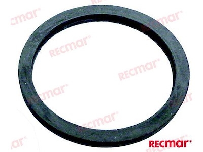 GUARNIZIONE TERMOSTATO