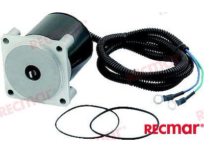 TRIM MOTOR ASSY