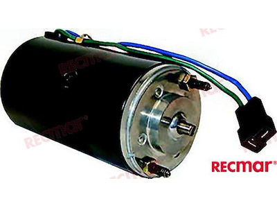 MOTORE TRIM OMC 382138