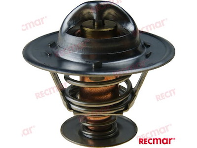 TERMOSTATO ACQUA DOLCE