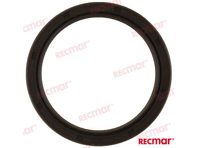 ANELLO DI TENUTA INFERIORE DPH /DPH