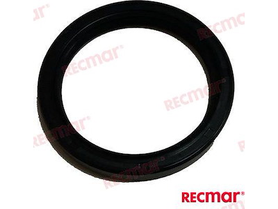 ANELLO DI TENUTA INFERIOREDPH /DPH-