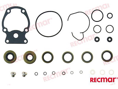 KIT PARAOLIO E GUARNIZIONI