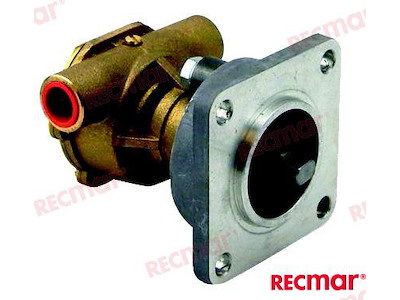 POMPA DE ACQUA WESTRBEKE