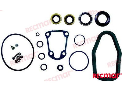 KIT PARAOLIO E GUARNIZIONI