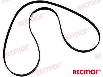 CINGHIA SERPENTINA  MCM