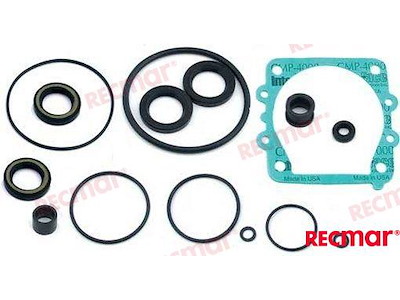 LOWER UNIT GASKET KIT
