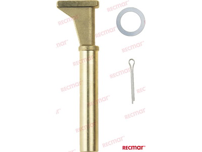 ALBERINO INTERMEDIO CAMBIO