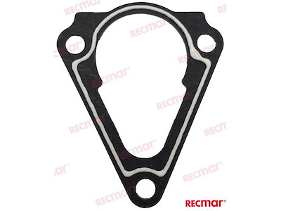 GUARNIZIONE TERMOSTATO