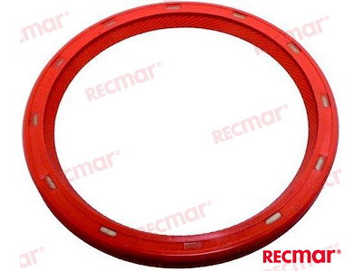 PARAOLIO ALBERO MOTORE