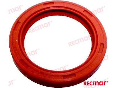 PARAOLIO ALBERO MOTORE