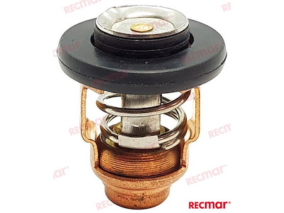 TERMOSTATO  50-¦-60-¦C