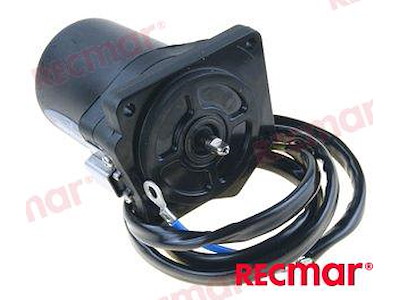 MOTORE TRIM ASSE LUNGO