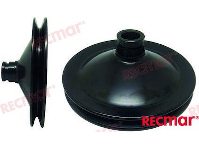 PULEGGIA POMPA STERZO