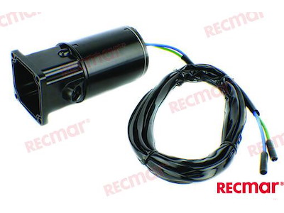 MOTORE POWER TRIM