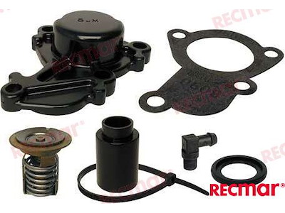 TERMOSTATO MERCURY 110-¦