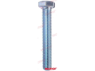 VITE CORPO POMPA ACQUA